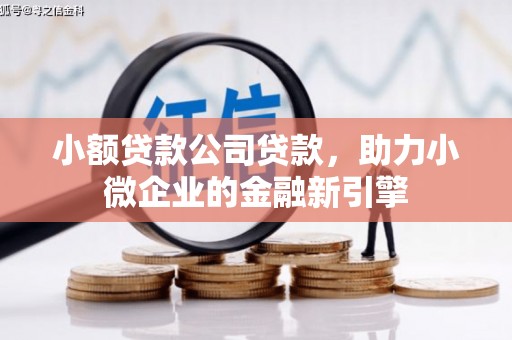 海州小额贷款公司贷款，助力小微企业的金融新引擎