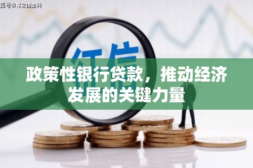 海州政策性银行贷款，推动经济发展的关键力量