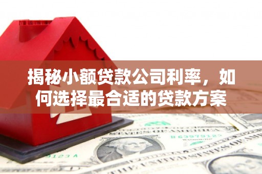 海州揭秘小额贷款公司利率，如何选择最合适的贷款方案