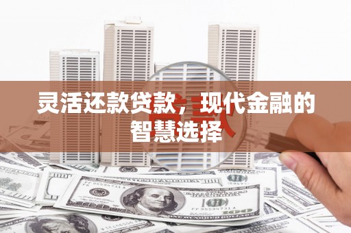 海州灵活还款贷款，现代金融的智慧选择
