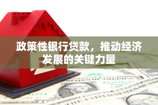 海州政策性银行贷款，推动经济发展的关键力量