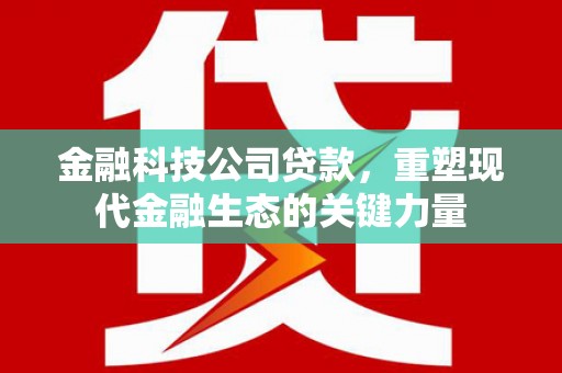 海州金融科技公司贷款，重塑现代金融生态的关键力量