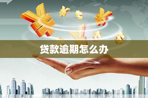 海州贷款逾期怎么办