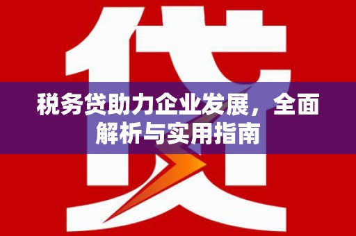 海州税务贷助力企业发展，全面解析与实用指南