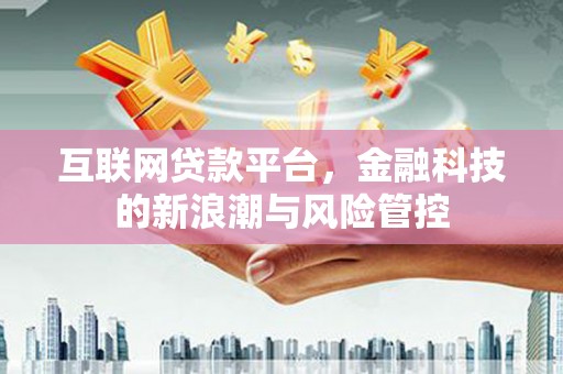 海州互联网贷款平台，金融科技的新浪潮与风险管控
