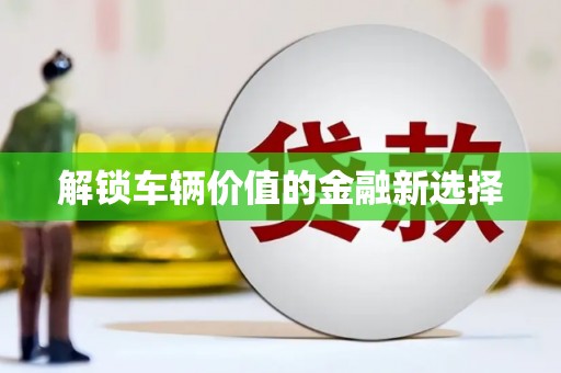 海州解锁车辆价值的金融新选择