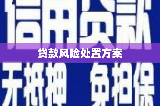 海州贷款风险处置方案