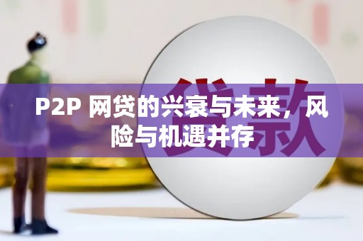 海州P2P 网贷的兴衰与未来，风险与机遇并存