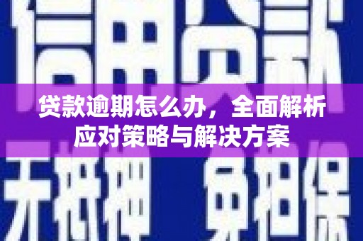 海州贷款逾期怎么办，全面解析应对策略与解决方案