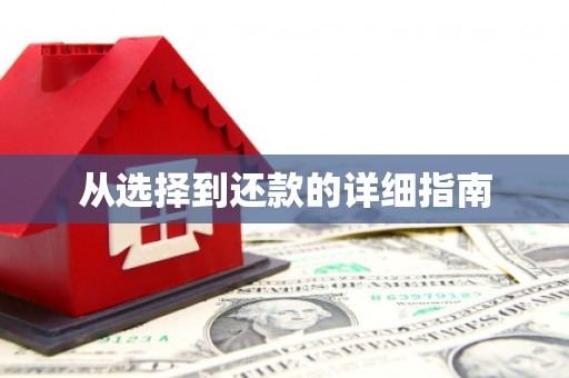 海州从选择到还款的详细指南