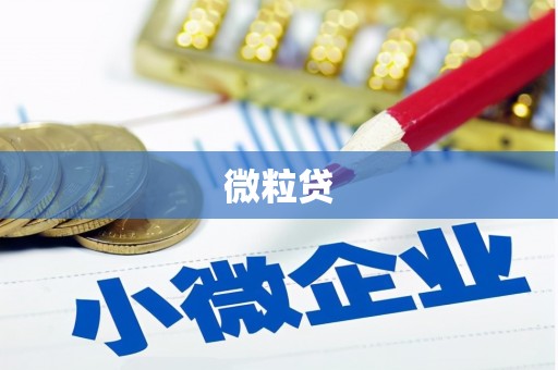 海州微粒贷