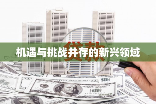 海州机遇与挑战并存的新兴领域