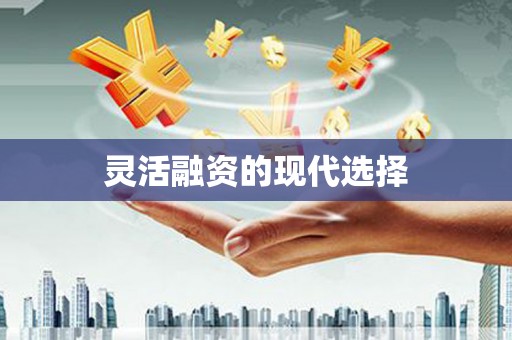 海州灵活融资的现代选择