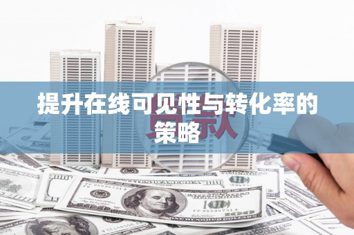 海州提升在线可见性与转化率的策略