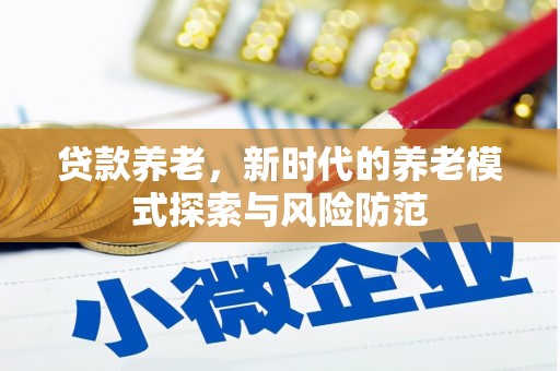 海州贷款养老，新时代的养老模式探索与风险防范