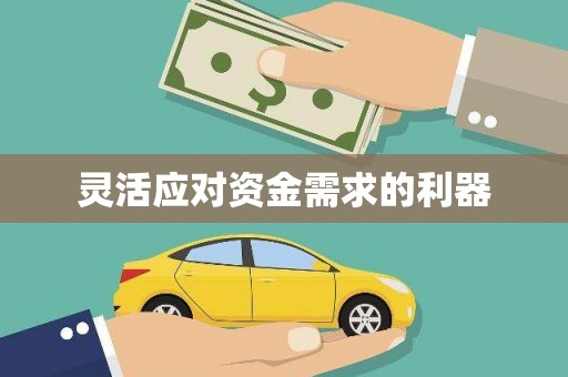 海州灵活应对资金需求的利器