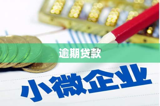 海州逾期贷款