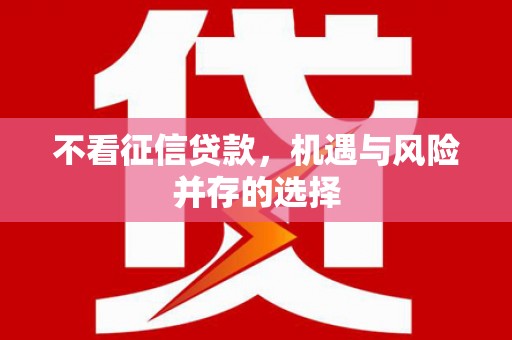 海州不看征信贷款，机遇与风险并存的选择