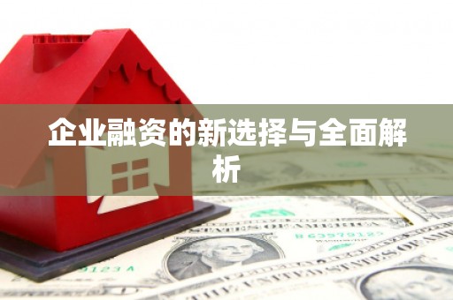 海州企业融资的新选择与全面解析