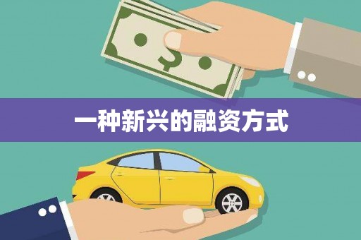 海州一种新兴的融资方式