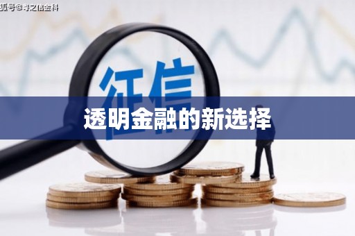 海州透明金融的新选择