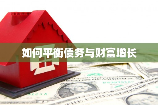 海州如何平衡债务与财富增长