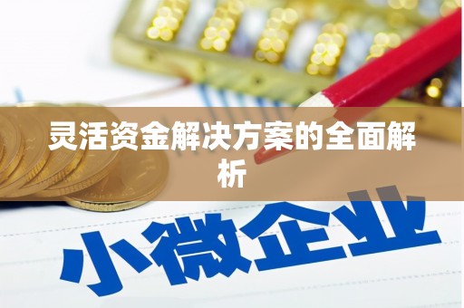 海州灵活资金解决方案的全面解析