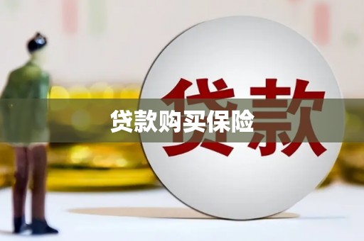 海州贷款购买保险