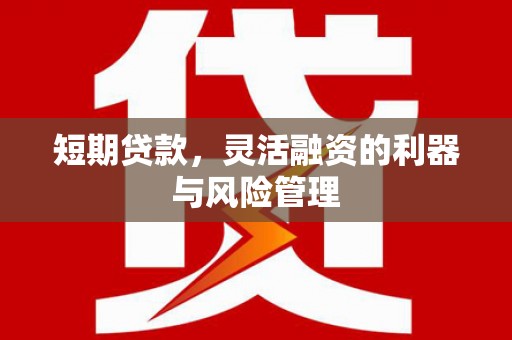 海州短期贷款，灵活融资的利器与风险管理